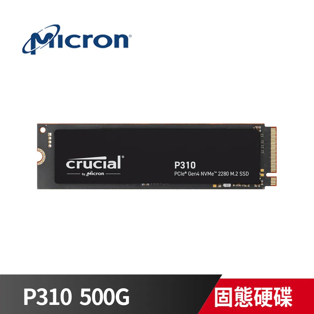 P310 500GB
